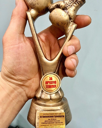 Выиграл Кубок за лучшую технику