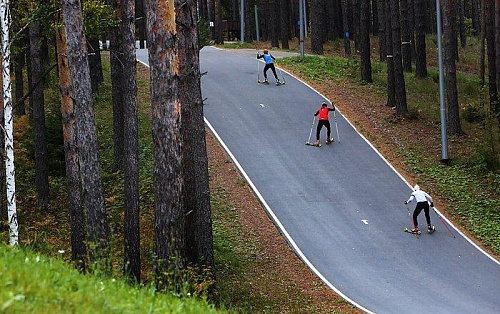 Гараничев и Логинов работают в Токсово