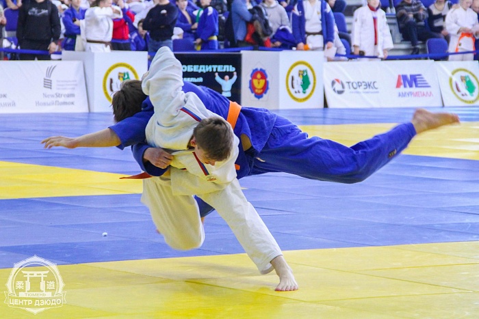 Дзюдоисты спорили за награды