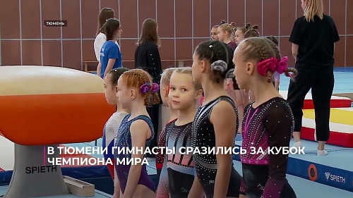 В Тюмени гимнасты сразились за кубок чемпиона мира
