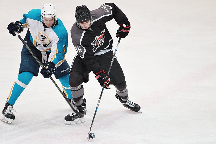 Фото Владимира ОГНЁВА