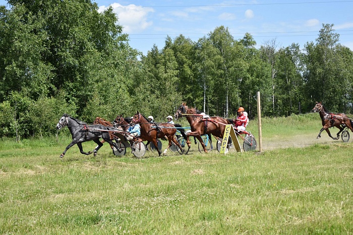 Импульс и Безупречный не подвели тюменского наездника
