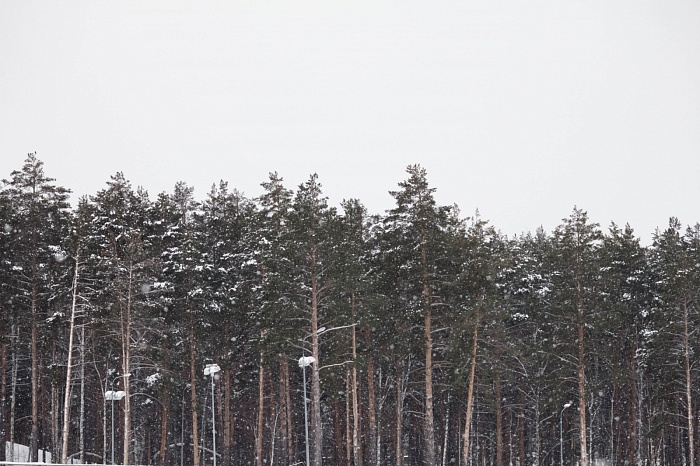 Третий этап PARI-Кубка России по биатлону в Тюмени. Гонка преследования. Мужчины