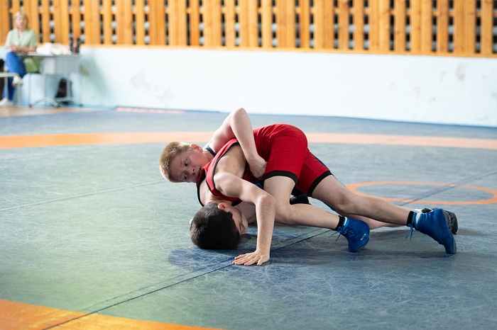 Командное первенство по греко-римской борьбе Центра развития творчества детей и юношества «Бригантина»