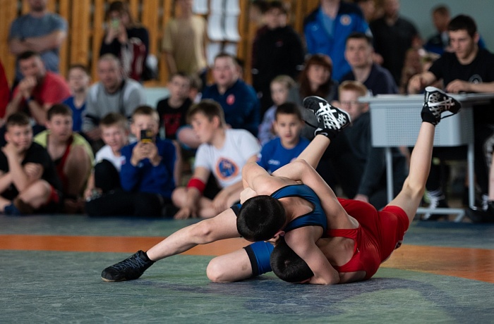 Командное первенство по греко-римской борьбе Центра развития творчества детей и юношества «Бригантина»