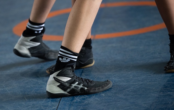 Командное первенство по греко-римской борьбе Центра развития творчества детей и юношества «Бригантина»