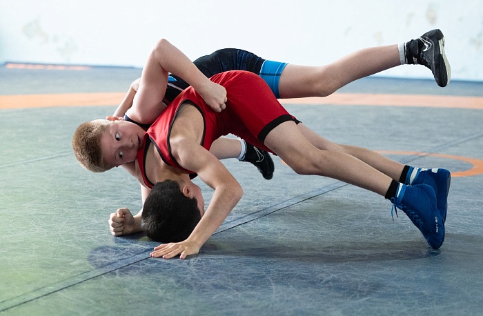 Командное первенство по греко-римской борьбе Центра развития творчества детей и юношества «Бригантина»