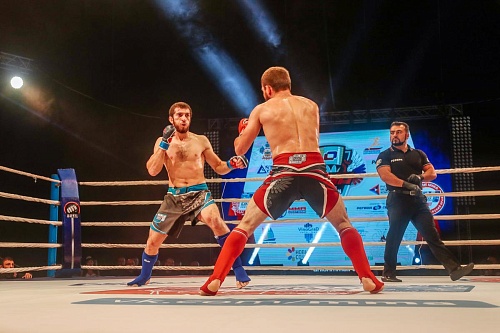 Лучшие бойцы ММА России встретятся в Крылатском