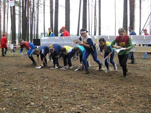 Стартовали близ Винзилей