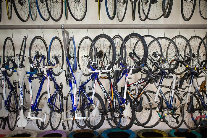 Велоспорт продолжит возглавлять чемпион мира и Олимпиад