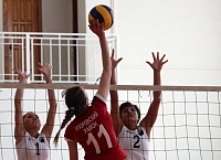 Чемпионат области по волейболу среди женщин. Первая лига. Финал. 26 апреля 2014 года