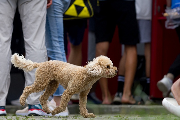 Чемпионат Тюменской области по лыжероллерам. 2-й соревновательный день. Женщины