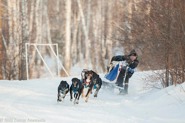 Этап Кубка России по ездовому спорту впервые прошёл в Тюменской области