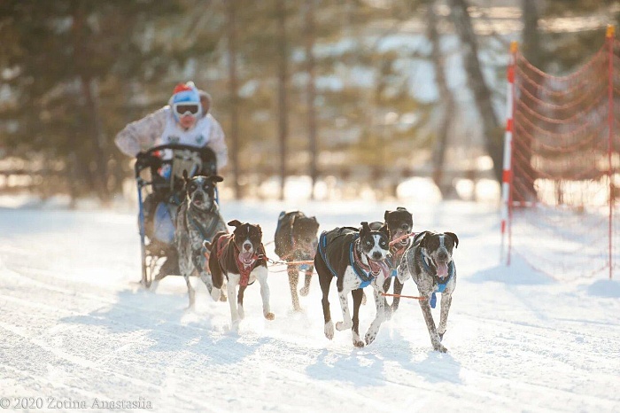 Оксана Задора: «Без лидера упряжка не тронется»