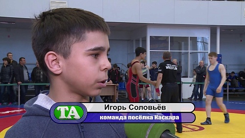Турнир по греко-римской борьбе среди юношей памяти Героя СССР Николая Кузнецова