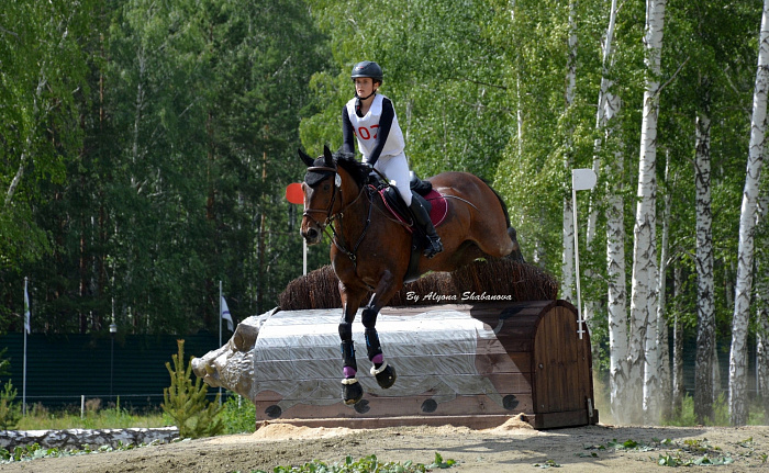 Серебряный призёр Всероссийских соревнований по конному спорту Виктория Иванова: «Мираж научил меня терпению и поднял с самых низов до высокого уровня в троеборье»
