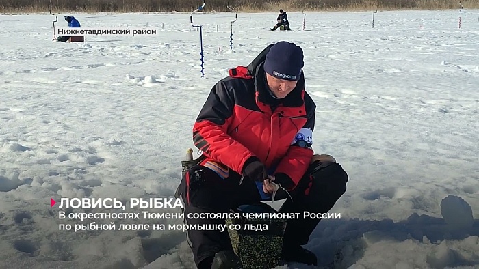 В окрестностях Тюмени состоялся чемпионат России по рыболовному спорту на мормышку со льда