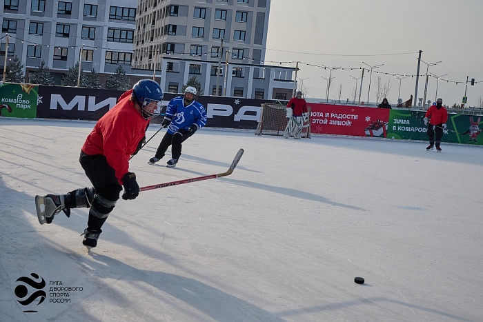 1 февраля. Матч хоккейной медиа лиги "Рекорд". "Лига дворового спорта России" - "Динамо" - 1:3