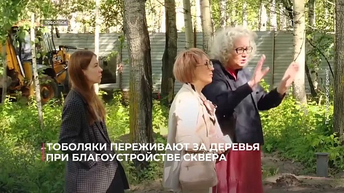 Тоболяки переживают за деревья при благоустройстве сквера Спортивный