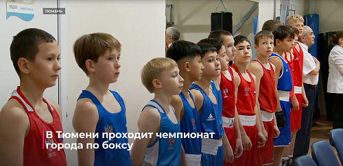 В Тюмени проходит чемпионат города по боксу