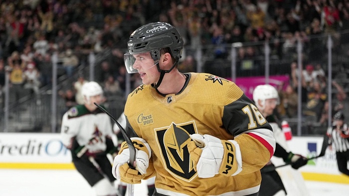 «Вегас» Павла Дорофеева вышел в четвертьфинал Кубка Стэнли