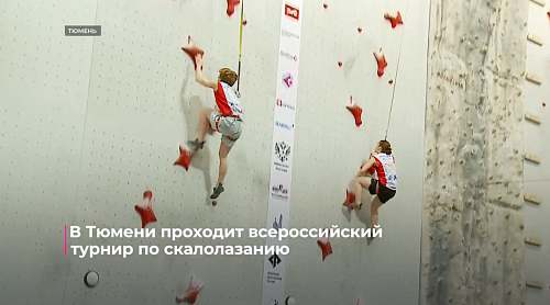 В Тюмени проходит Всероссийский турнир по скалолазанию