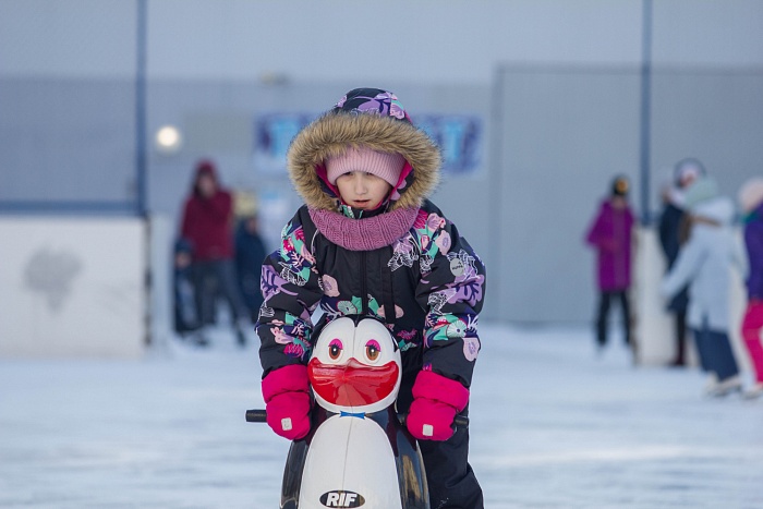 Дорогу осилит идущий, а лёд тот, кто надел коньки