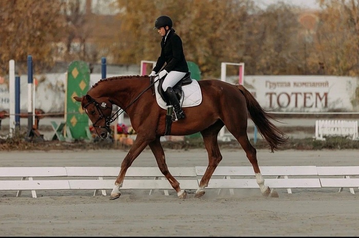 Гузель Байдакова: «Чуть не лишилась зрения, но любовь к конному спорту взяла своё»