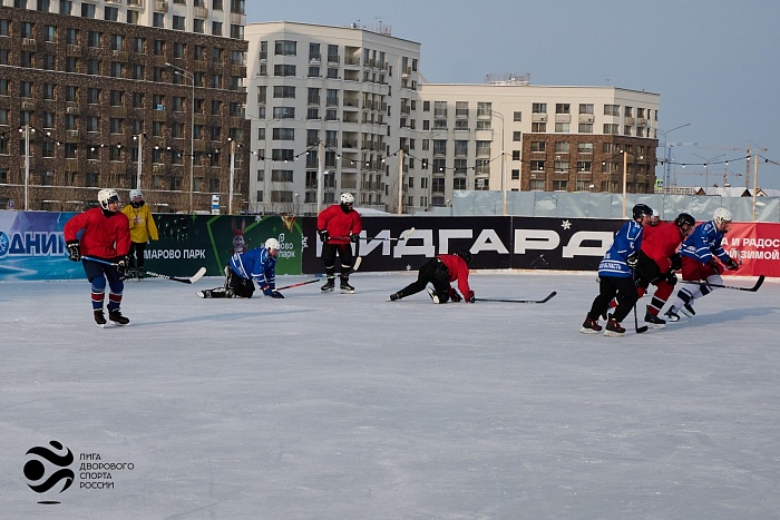 1 февраля. Матч хоккейной медиа лиги "Рекорд". "Лига дворового спорта России" - "Динамо" - 1:3