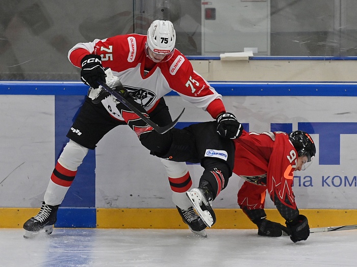 Во Всероссийской хоккейной лиге ведущие роли играют фарм-клубы команд КХЛ