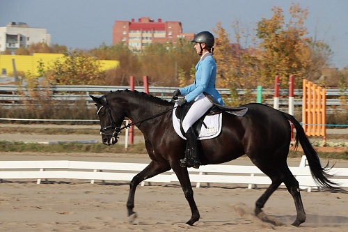 Областные чемпионат и первенство по выездке пройдут в Тюмени