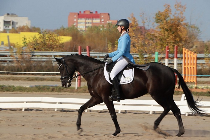Областные чемпионат и первенство по выездке пройдут в Тюмени