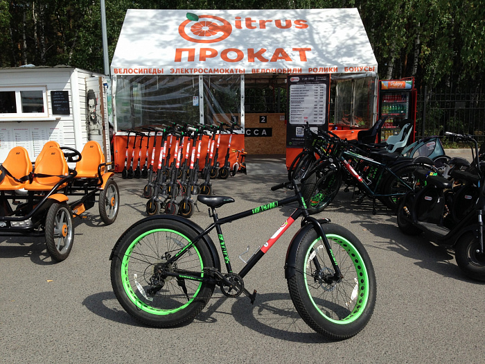 Прокат велосипедов в Тюмени: места, цены, советы