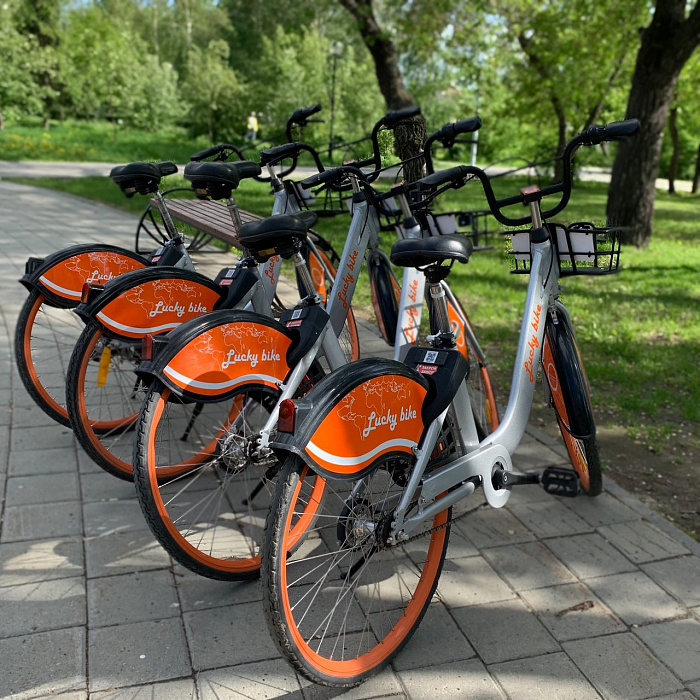 Прокат велосипедов в Тюмени: места, цены, советы