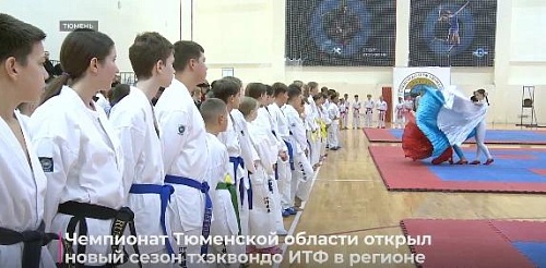 Чемпионат Тюменской области открыл новый сезон тхэквондо ИТФ в регионе